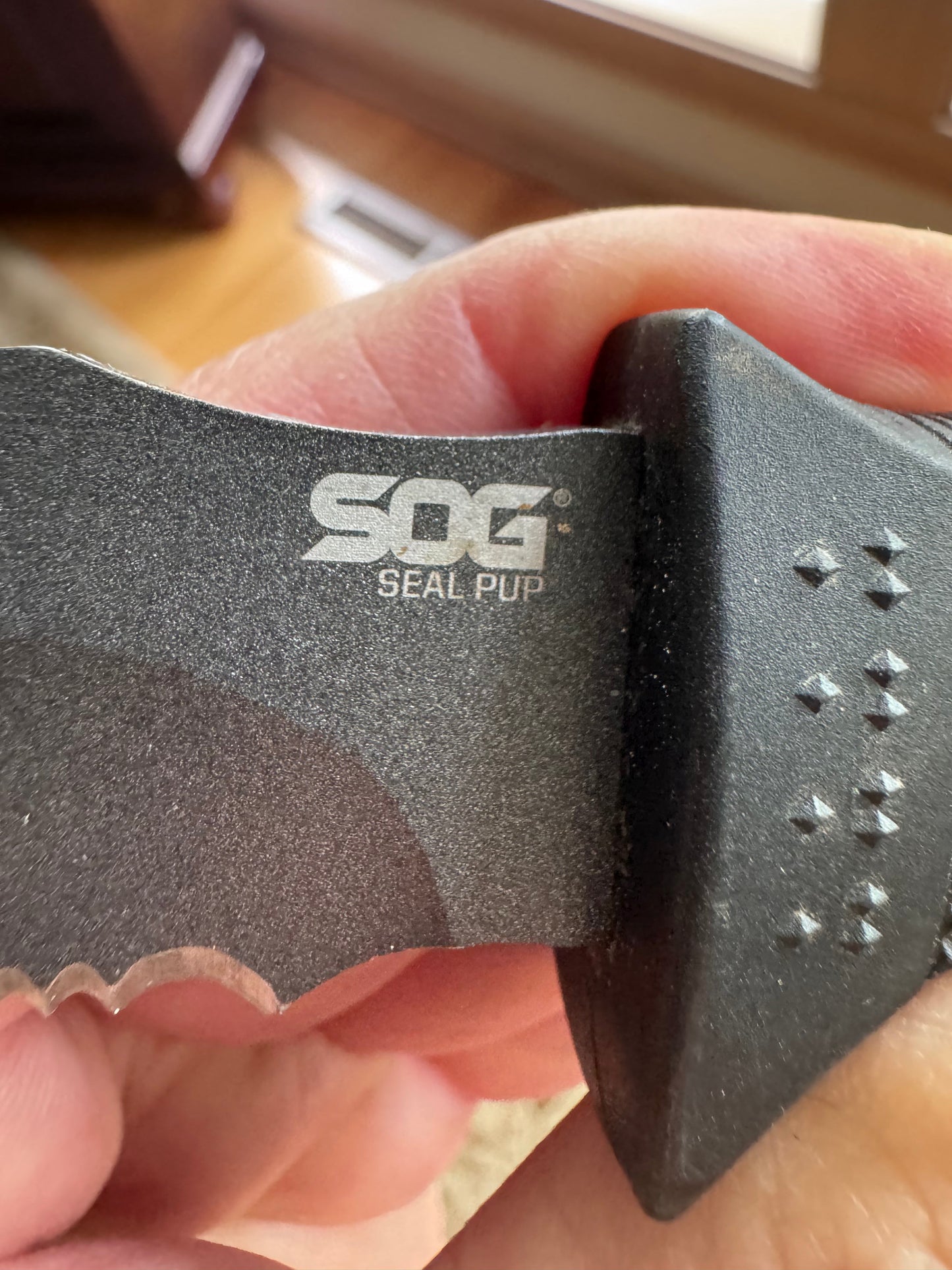 SOG Seal Pup Fixed Blade Knife w/Sheath